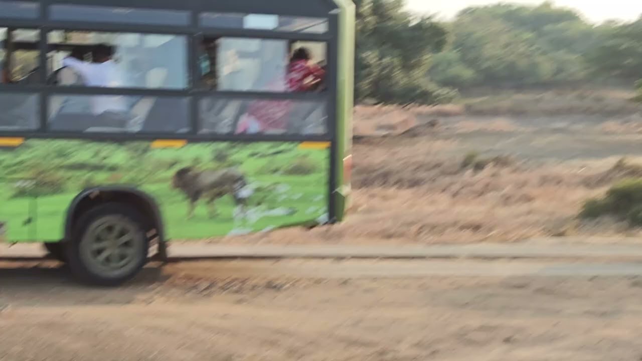 Gir national park
