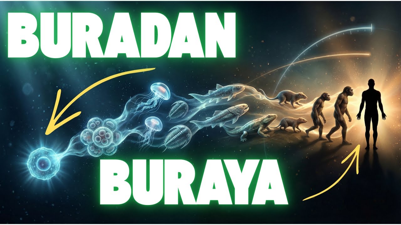 4 Dakikada Evrim | Tek Hücreden İnsana Yolculuk