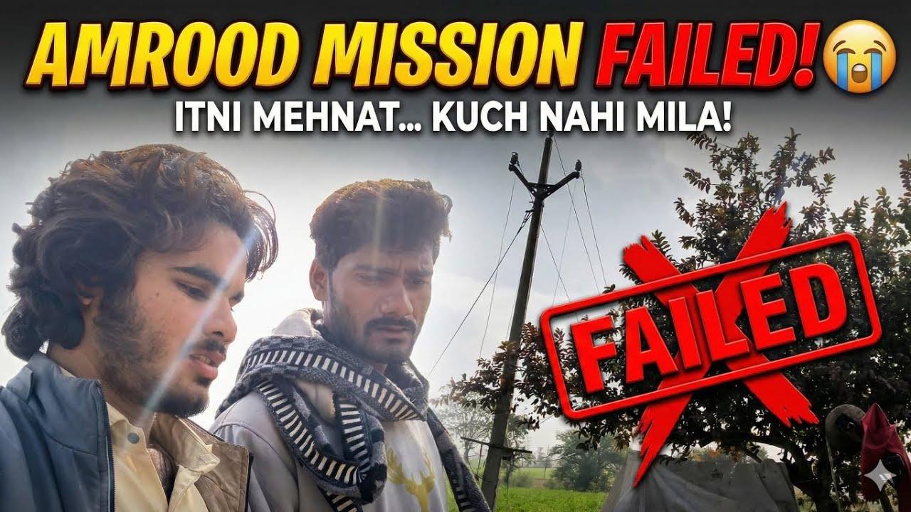 AMROOD MISSION FAILED ITNI MEHNAT ..KUCH NAHI MILA #farming #volg #nishudaswal 
