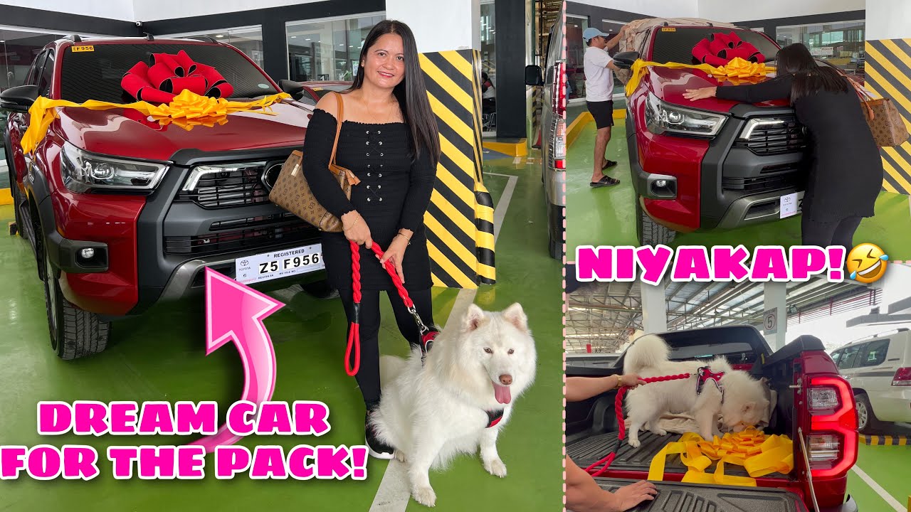 Welcome Our Newest Member Of The Fam! | NEW CAR FOR THE PACK! | Husky Pack TV