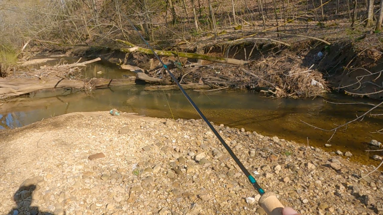 Fishing in a Tiny Creek  (uncut)