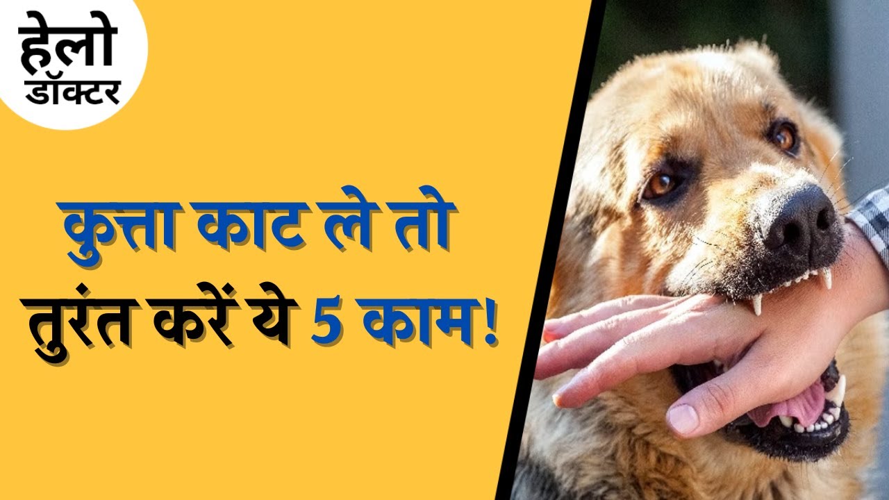 कुत्ते के काटने के बाद पानी से घबराहट क्यों होती है?:  Hello Doctor, Ep 176| Fitness Podcast