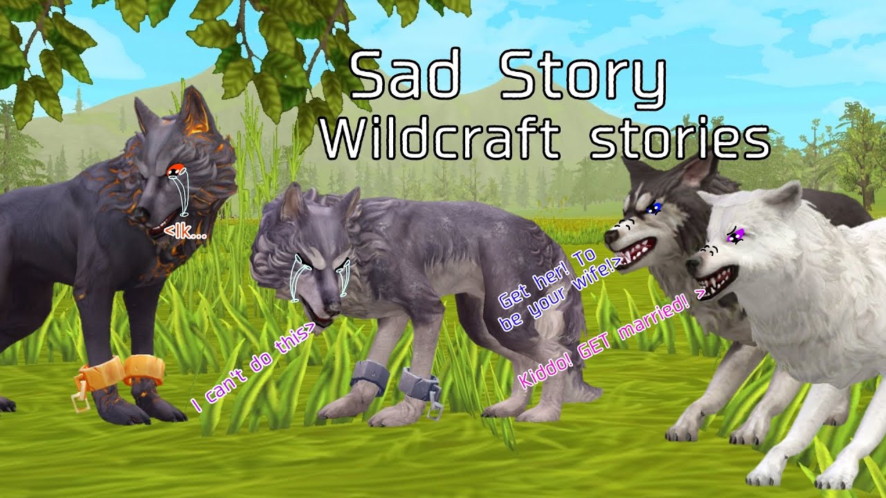 Sad Story) Wildcraft music video