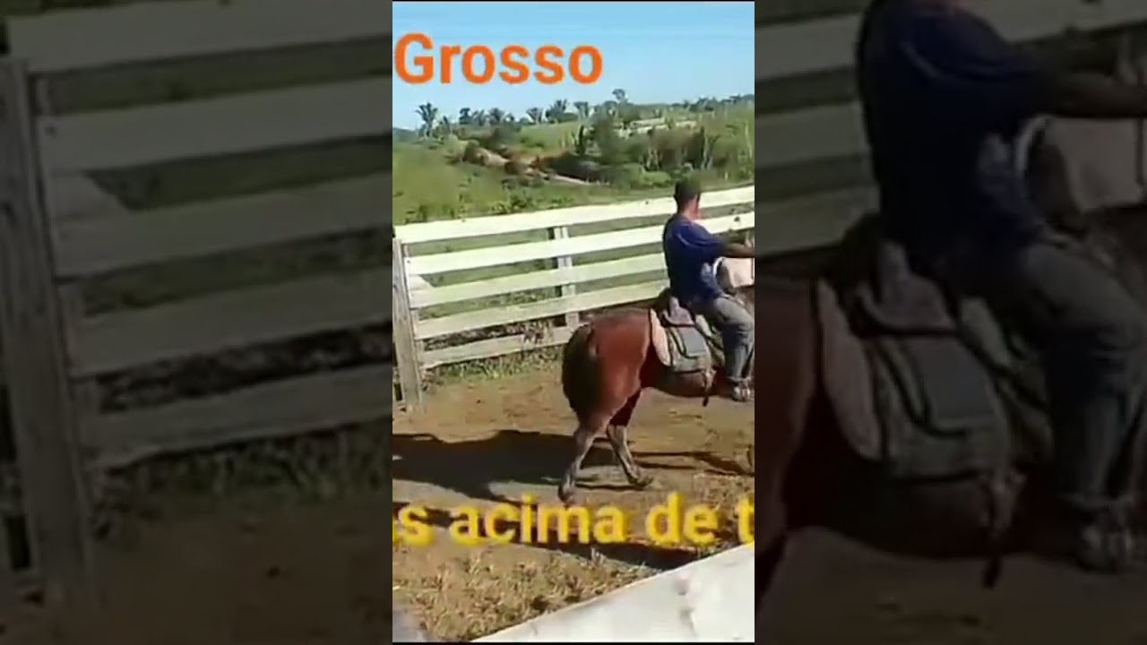#vida