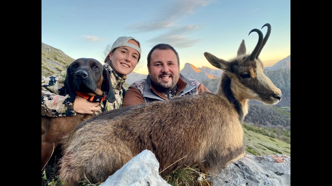 Cantabrian Chamois hunting in Northern Spain