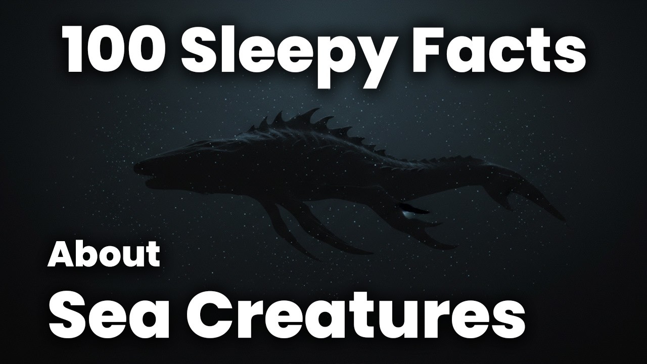 Relaxing Facts About Unidentified Sea Creatures -  Science for Sleep