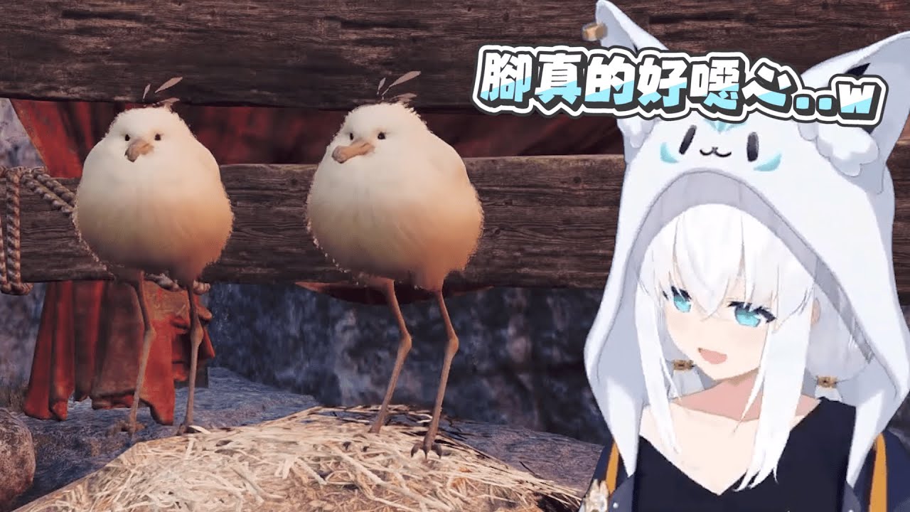 【魔物獵人荒野】稀有(?)的環境生物｜【 hololive / 白上吹雪】