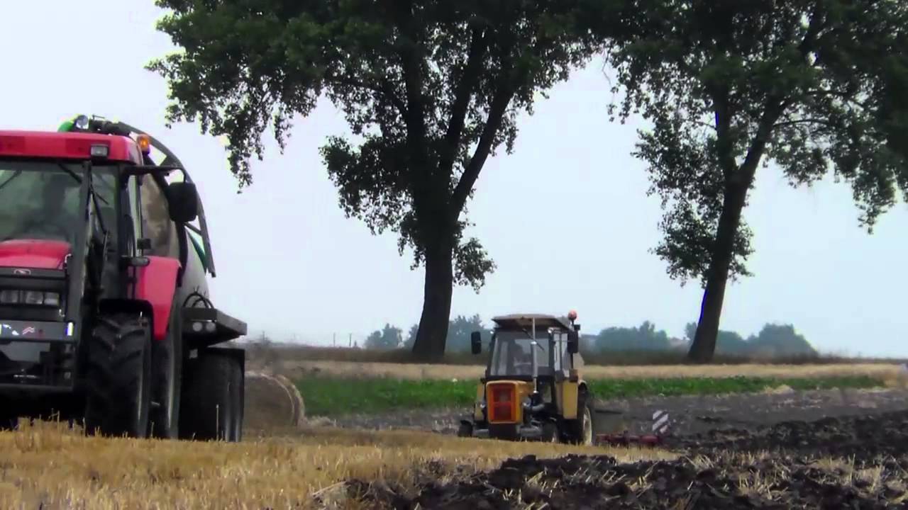 Małe Żniwa 2014
