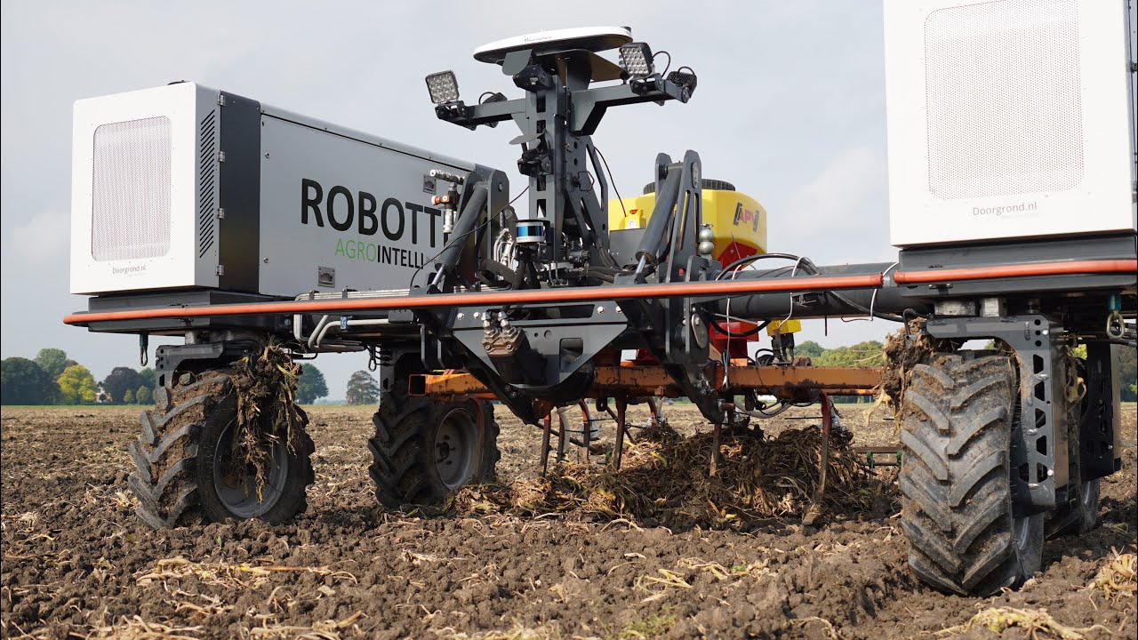 Agrointelli Robotti sowing. Pumkin stems also win from agriculture robots ;-)