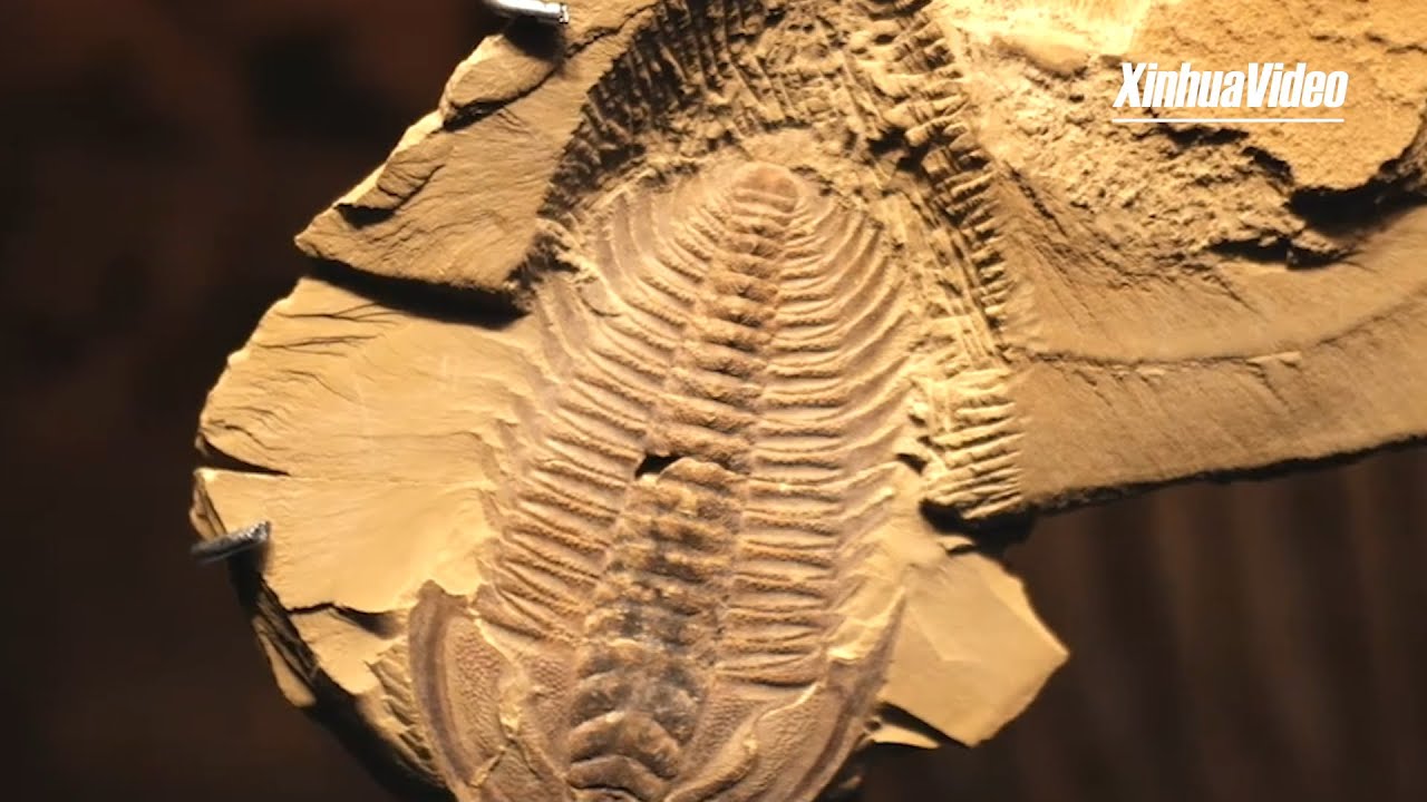 World Heritage in China: Chengjiang Fossil Site