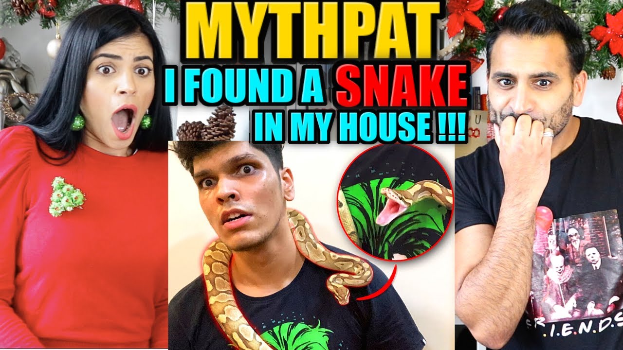 MYTHPAT | Я НАШЕЛ ЗМЕЮ В СВОЕМ ДОМЕ!!! | Реакция Magic Flicks!!