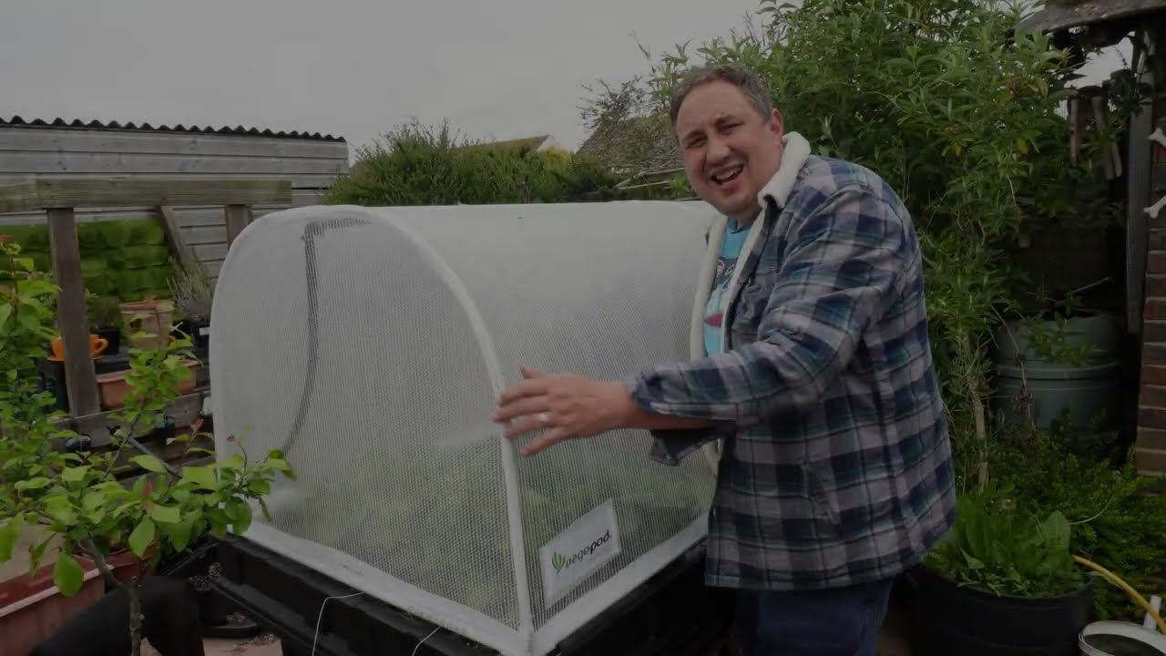 How much has grown in the large vegepod so far?