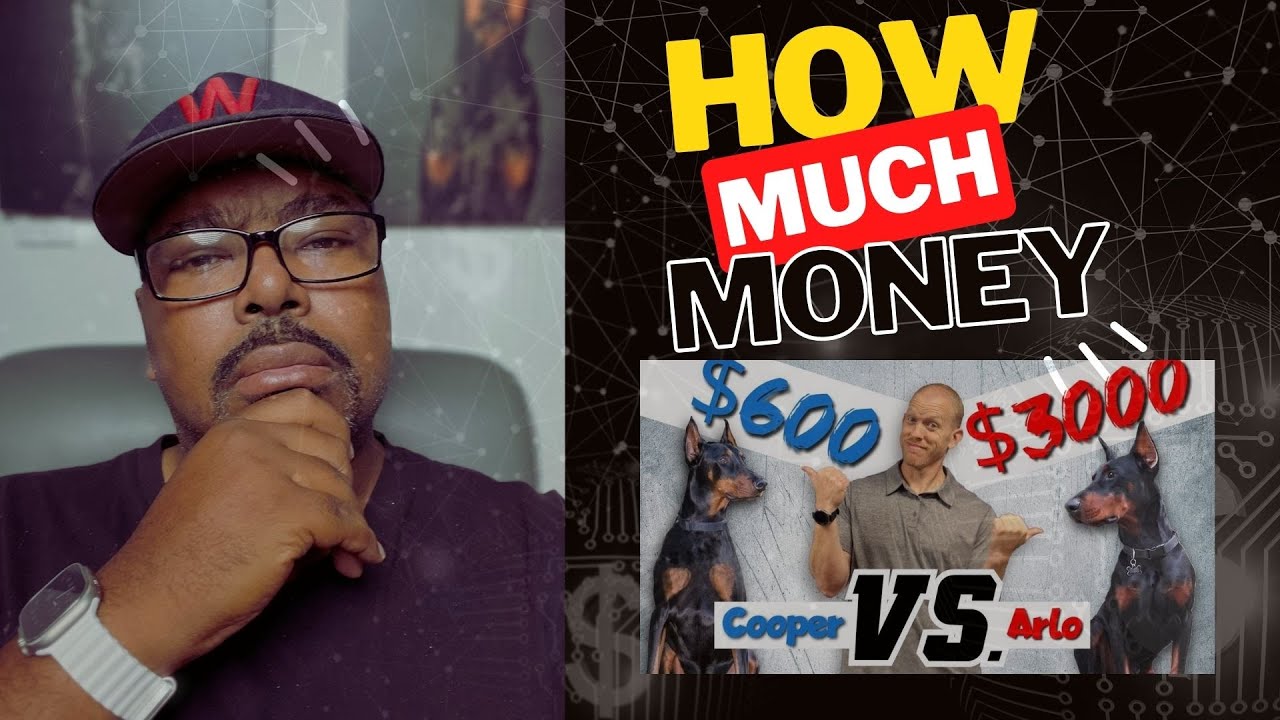 DOGUMENTARY TV  REACTION: How My $3000 Doberman Is Different From My $600 Doberman