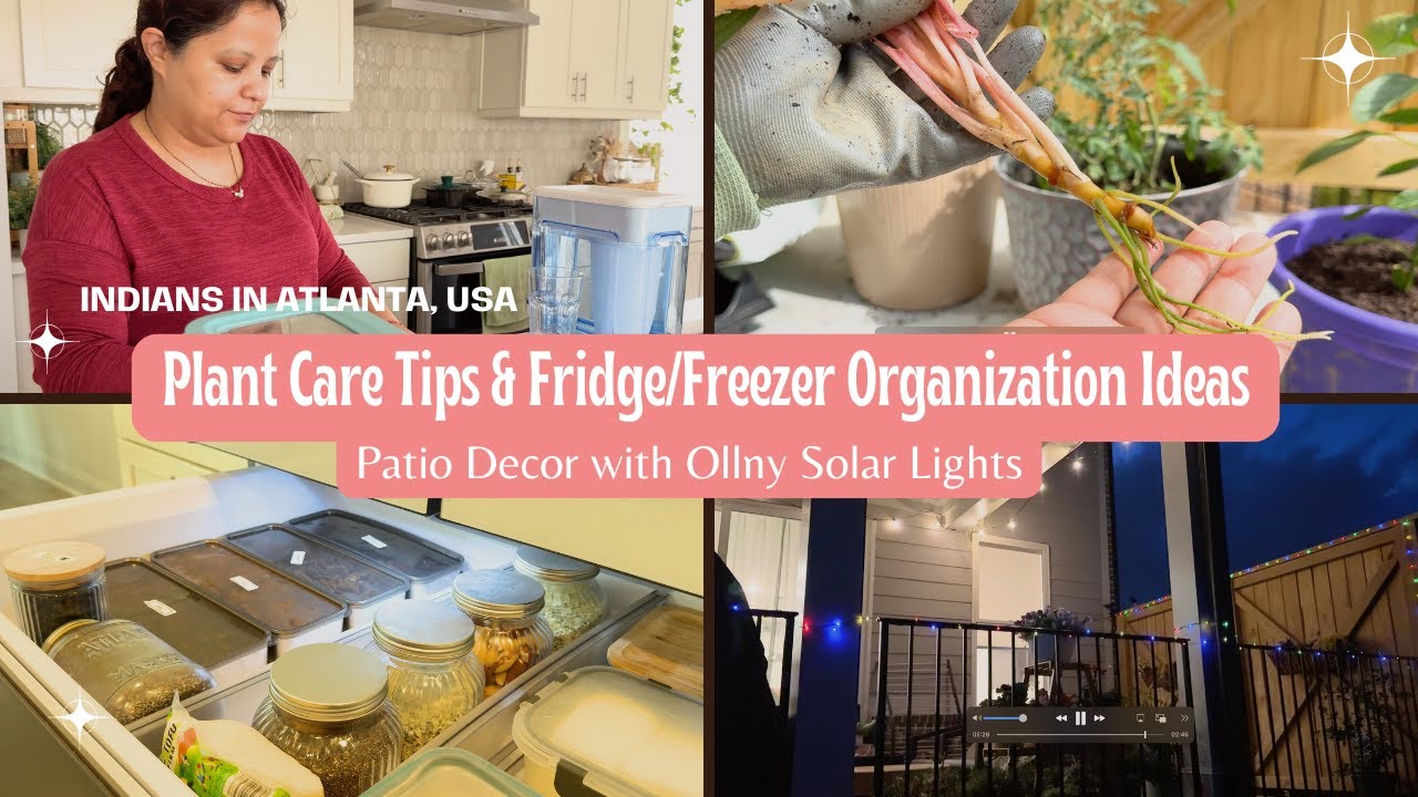 *New Vlog* Plant Care Tips | Fridge & Freezer Organization | Patio Decor with Ollny Solar Lights