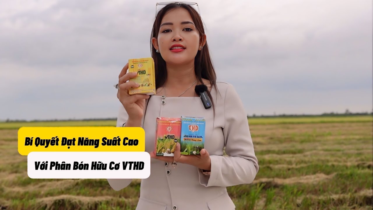 Quy Trình Dùng Phân Bón Hữu Cơ VTHD Sao Cho Đạt Năng Suất Cao