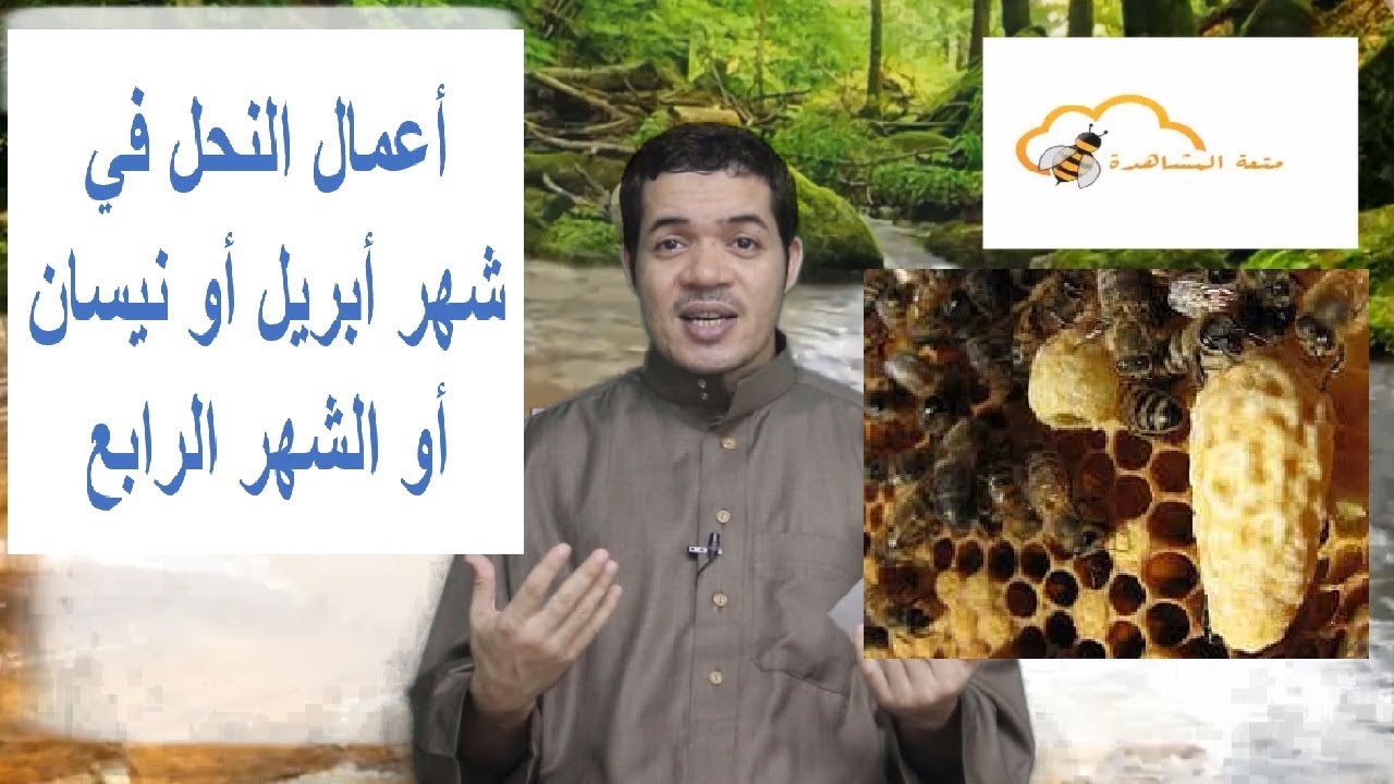 أعمال النحل في شهر أبريل أو نيسان أو الشهر الرابع
