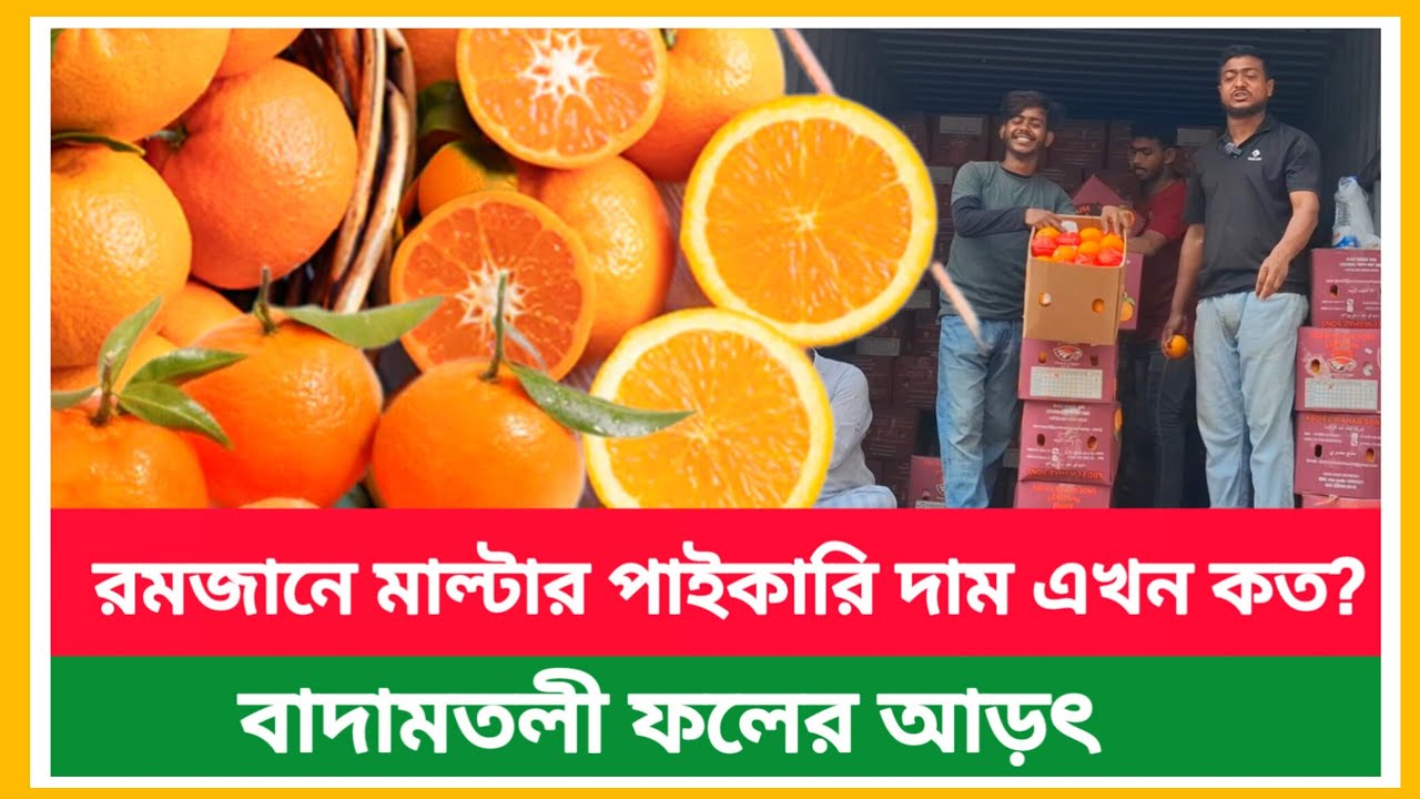 বাদামতলী ফলের আড়ৎ | “রমজানে মাল্টার পাইকারি দাম এখন কত? সর্বশেষ আপডেট! 