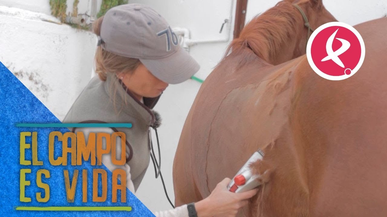Aurora pone a punto a Joacaz para correr su primer raid nacional de 100 kms | El campo es vida