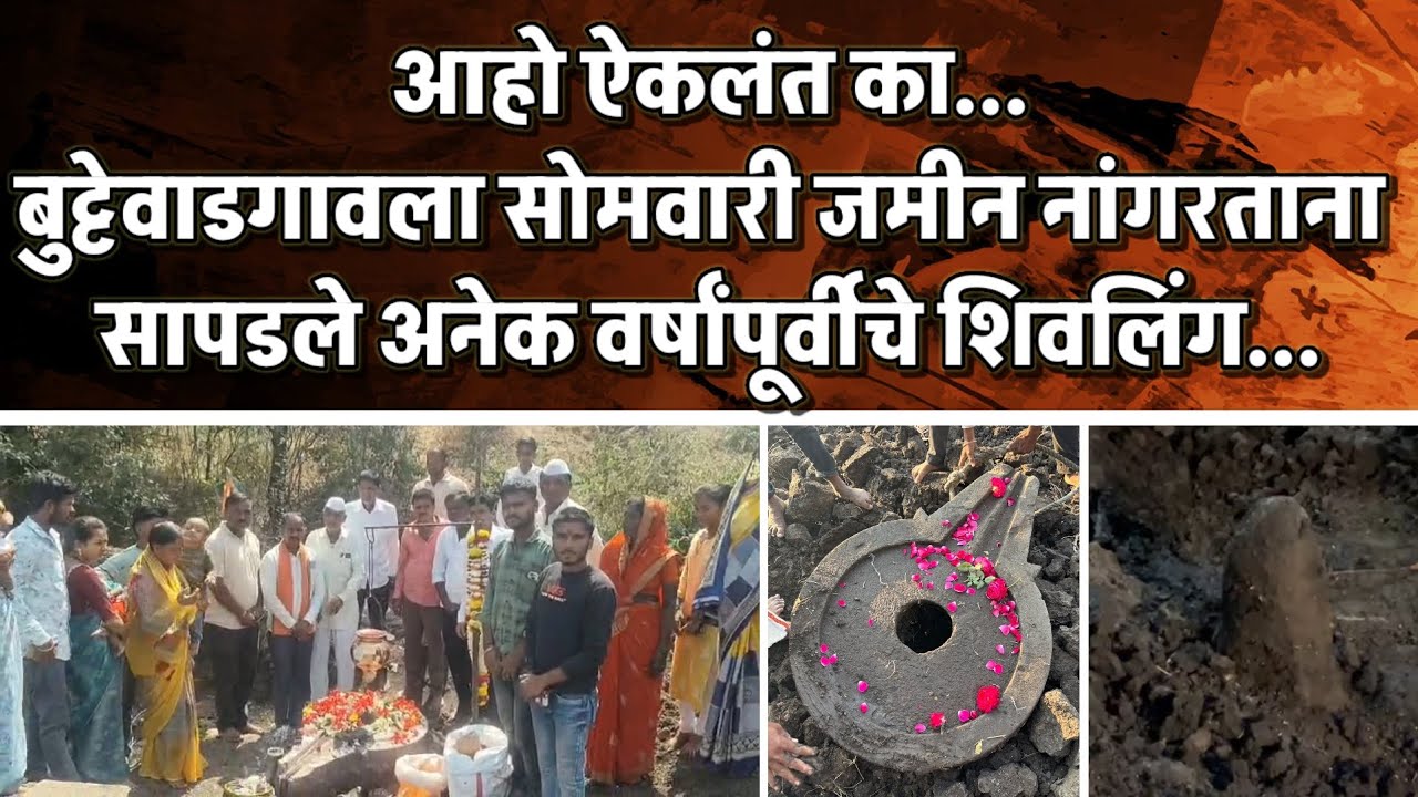 Gangapur || Oh, did you hear... A Shivling from many years ago was found while ploughing the land in Buttewadgaon on Monday