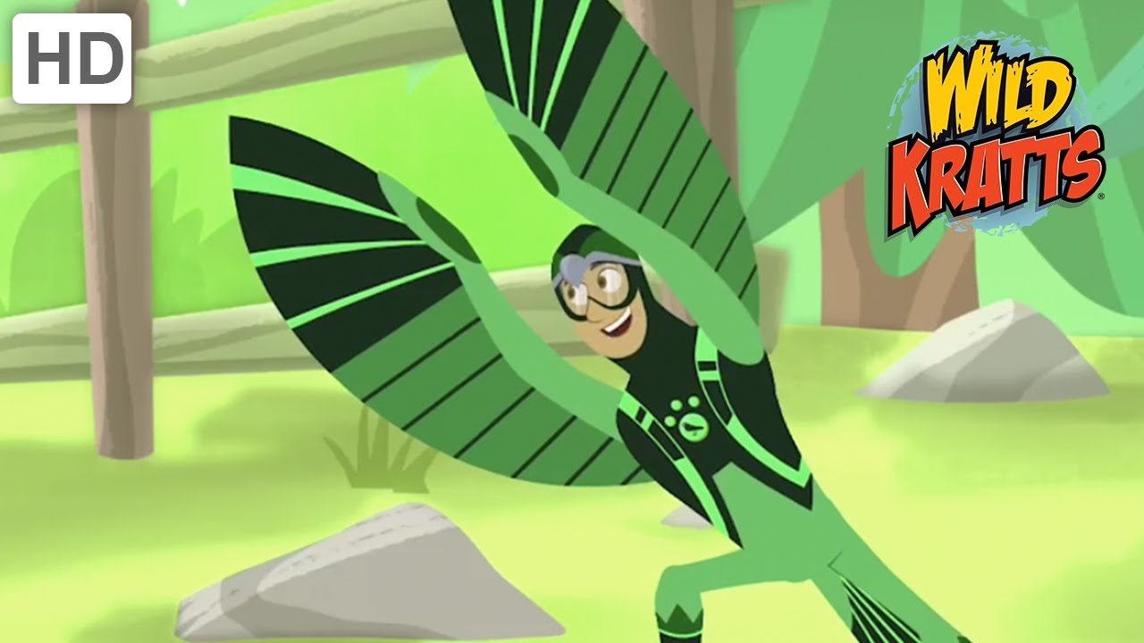 Wild Kratts - Creature Rescue Mission | Kids Videos