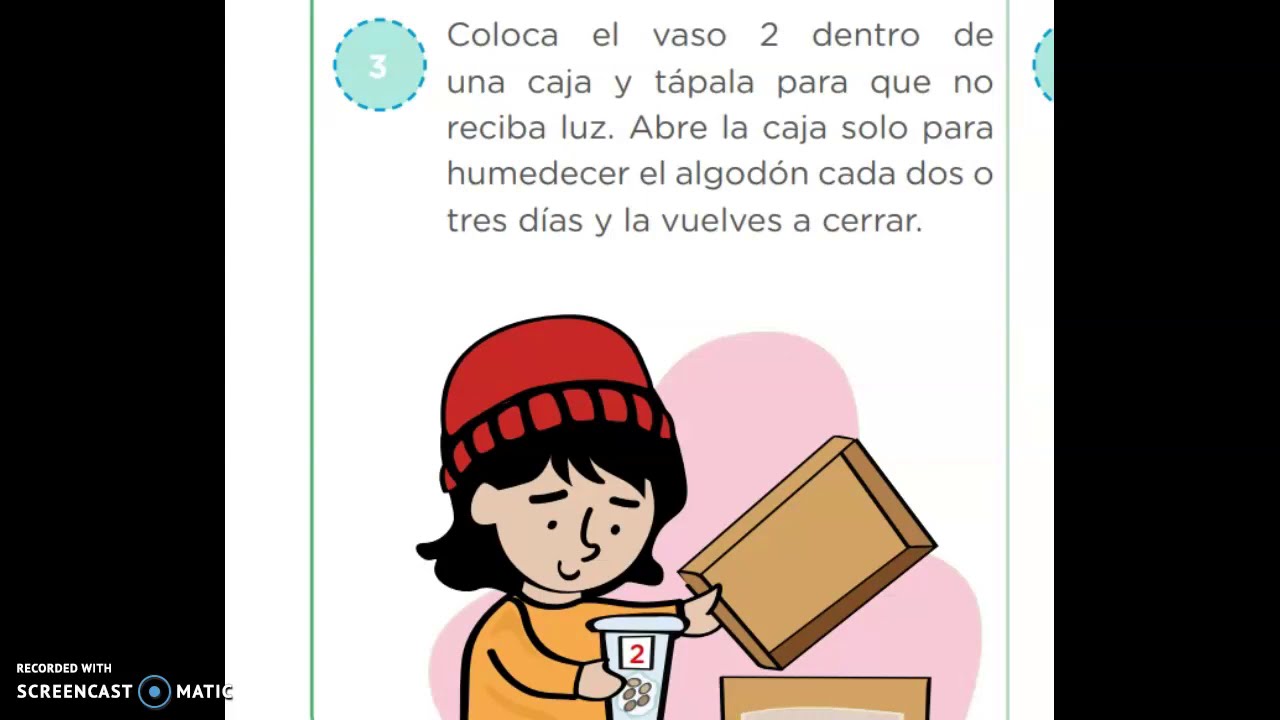 Experimento con semillas con luz o sin luz.
