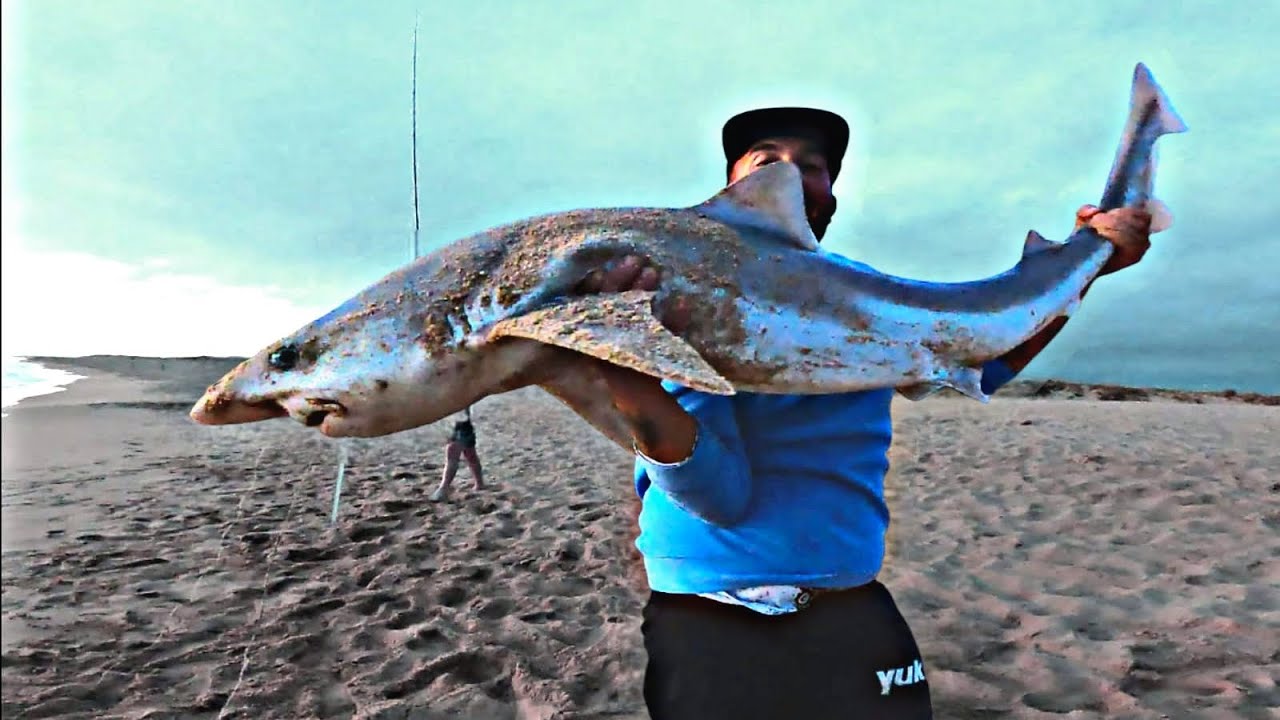 🎥//SURFCASTING EXTREMO📽️//VAMOS al ESTRECHO en BUSCA de 🦈TIBURONES 🦈