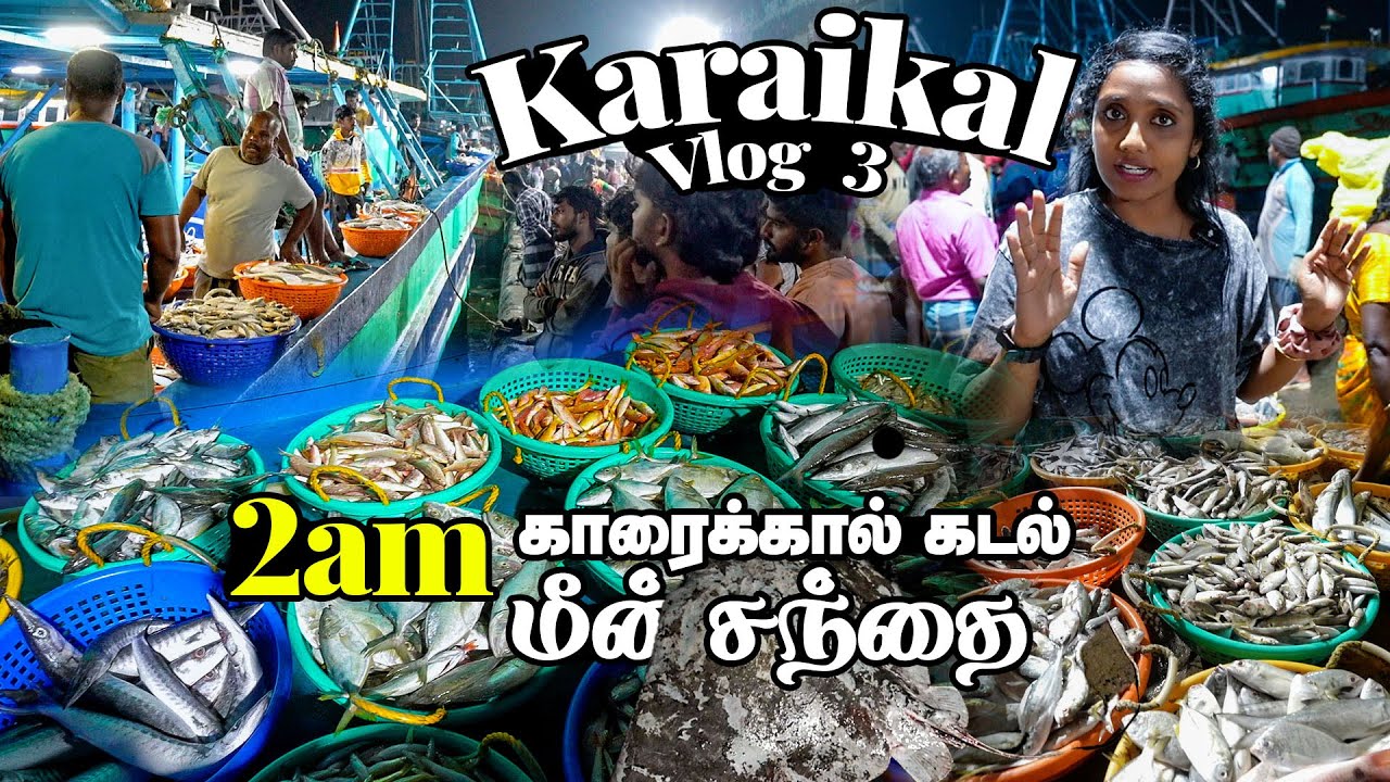 💥காலைல கேமரா தூக்கிட்டு வந்துட்டீங்க😳 காரைக்கால் கடல் மீன் சந்தை KKL Fish Market Vlog