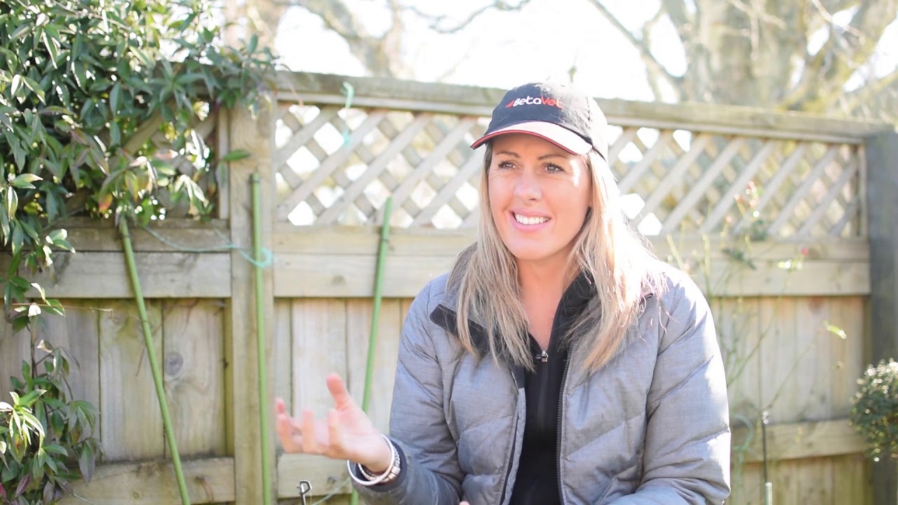 Greasy Heal - Mud Fever Remedy