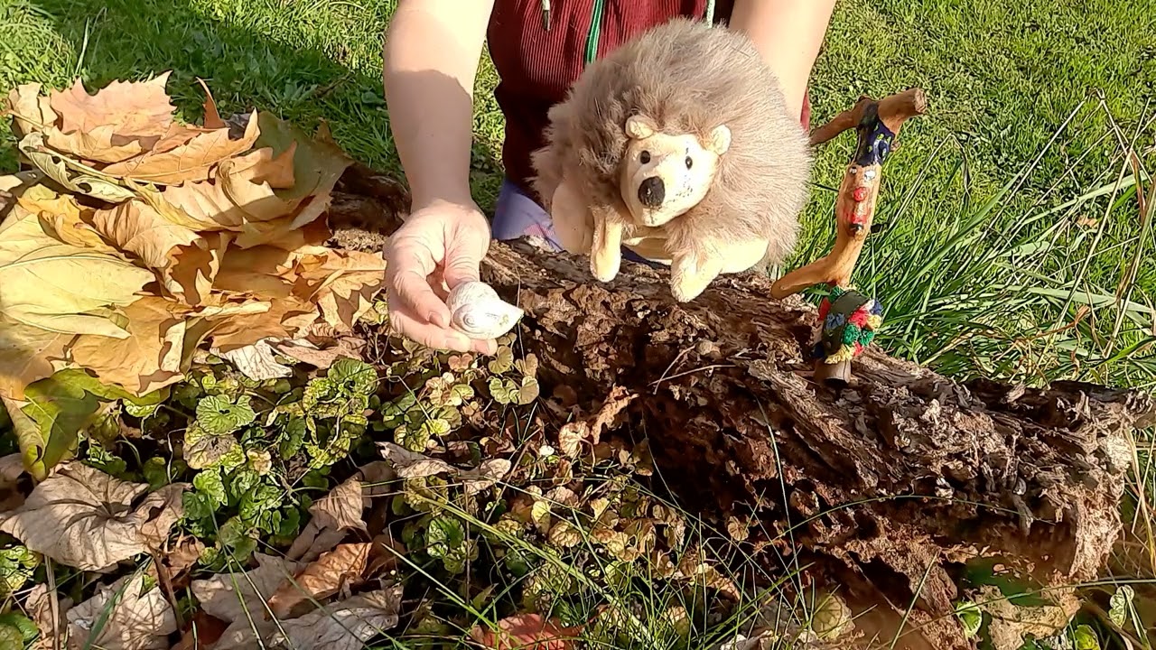 Wurzelsepp-Igel//Naturhandpuppentheater für Kleinkinder