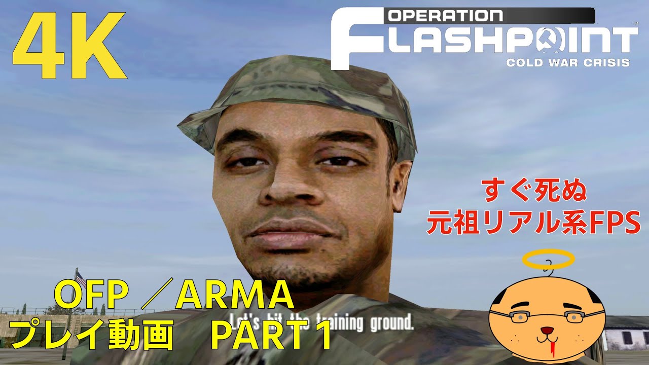 すぐ死ぬリアル系FPSの元祖【Operation FlashPoint Cold War Crisis/ARMA Cold War Assualt】Part1