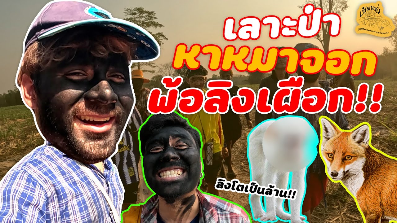 เซียนหรั่ง - วิถีชีวิตแบบมะลายยายอยาก l ตอน เข้าป่า หาหมาจอก พ้อลิงเผือก