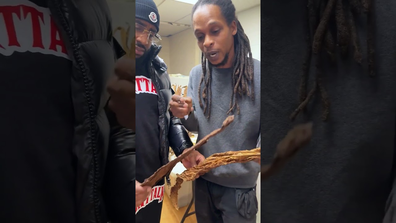 What is Grabba? Hotgrabbz & Bluntalk break it down