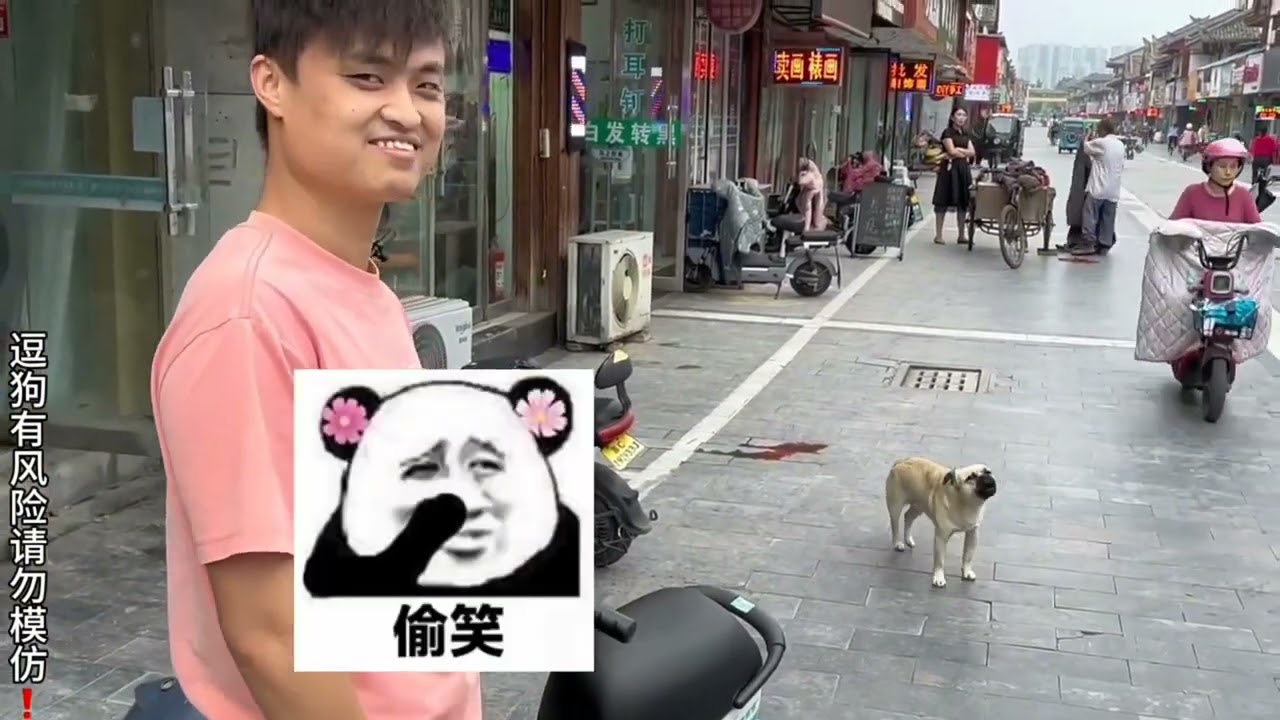 《人与自然》狗王學狗叫以假亂真，把狗子給整蒙圈了|口技|搞笑|狗|動物世界|野生動物|人與自然|
