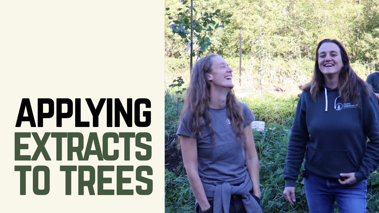 Methods of Applying Compost Extracts to Trees
