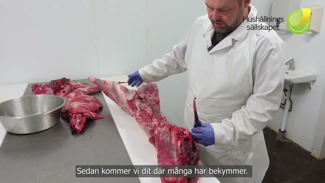 Grovstyckning av vildsvin
