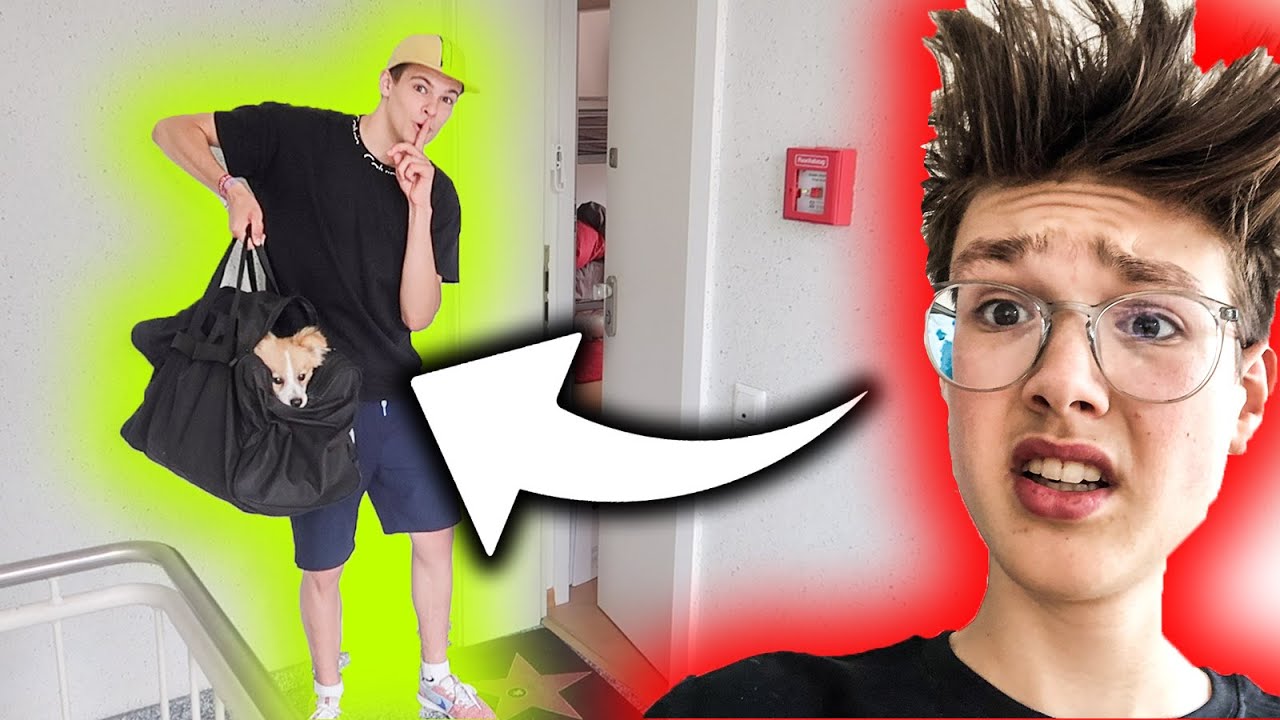 Er hat meinen HUND Flash ENTFÜHRT!