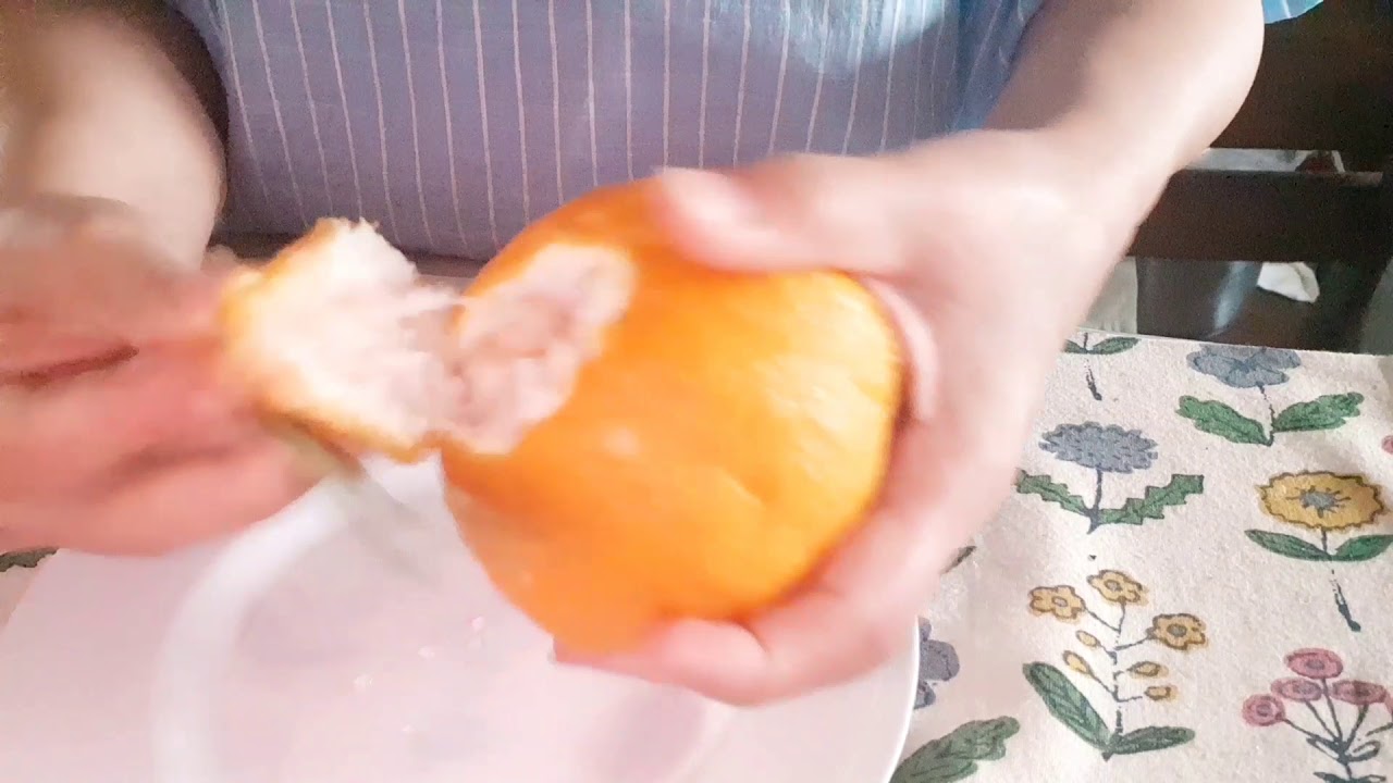 Hallabong(한라봉)