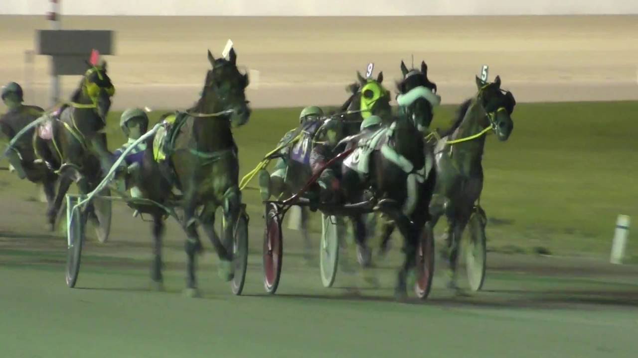 2016 Scioto Downs  - Jim Ewart Memorial Pace -- Always B Miki 1:47