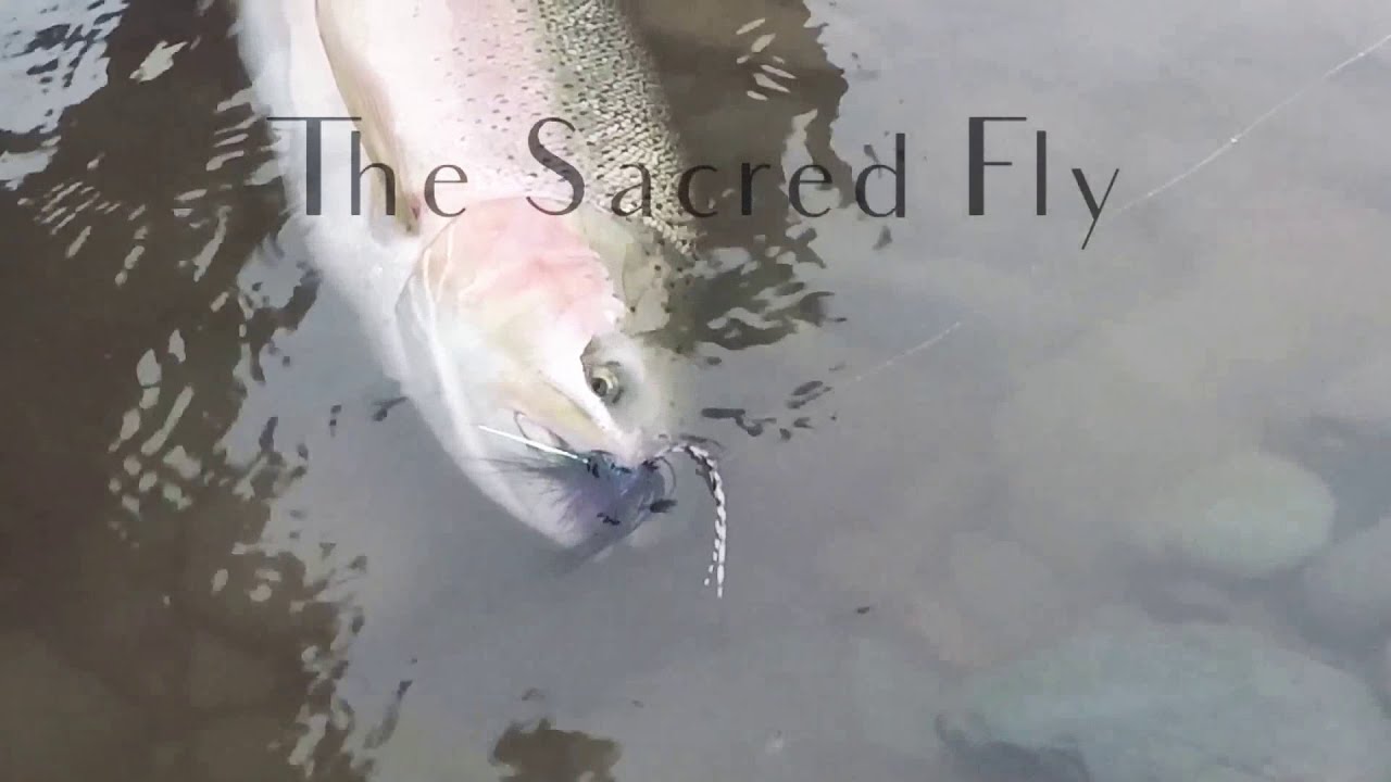 FLY TYING - The BEST “Go To” Year Round Steelhead Fly (The Sacred Fly!)