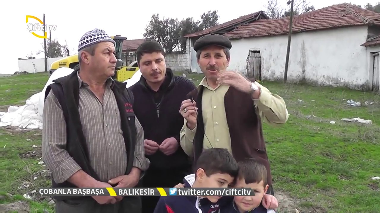 Çobanla Baş Başa-Koyun Çobanımız İşini Ne Kadar Sevdiğini Anlatıyor..