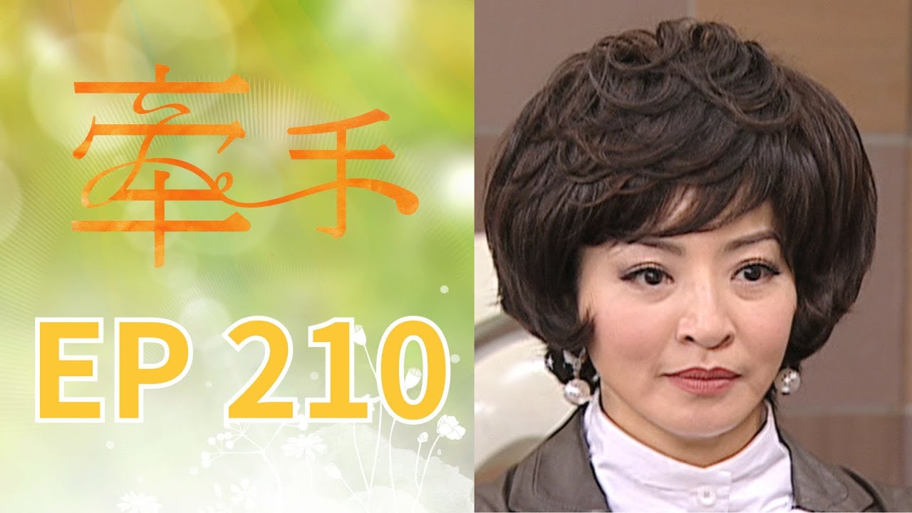 牽手 EP210 The Other Hands｜三立台劇