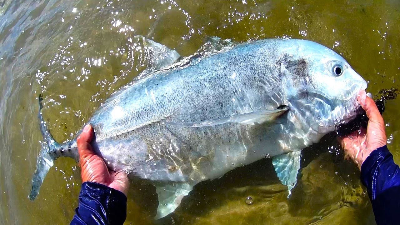 【移住生活】離島生活で人生初のGTを釣り上げた日【種子島】