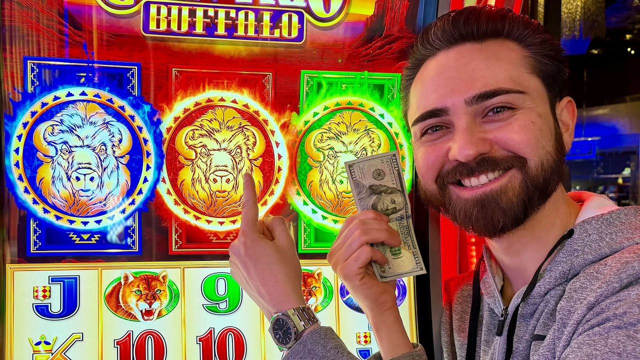 I Got A Little TOO WILD On Coin Trio Buffalo!