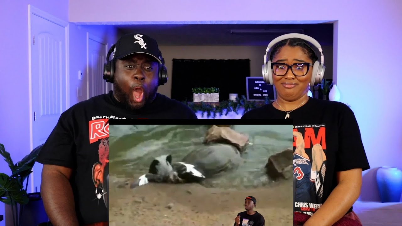 Kidd and Cee Reacts To The One Rule of Nature School Never Taught You (Casual Geographic)