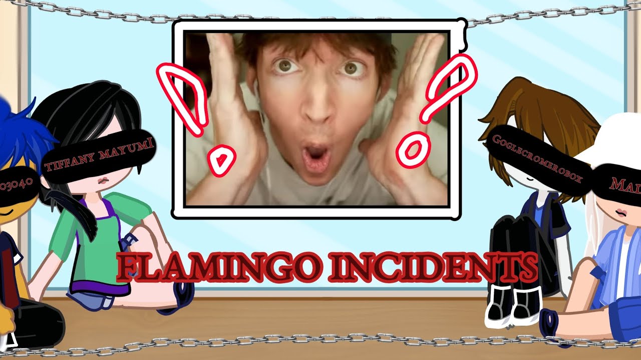 Flamingo incidents react to each other ||Prizumm|| ||@Flamingo  Roblox|| ||Gacha Life 2||