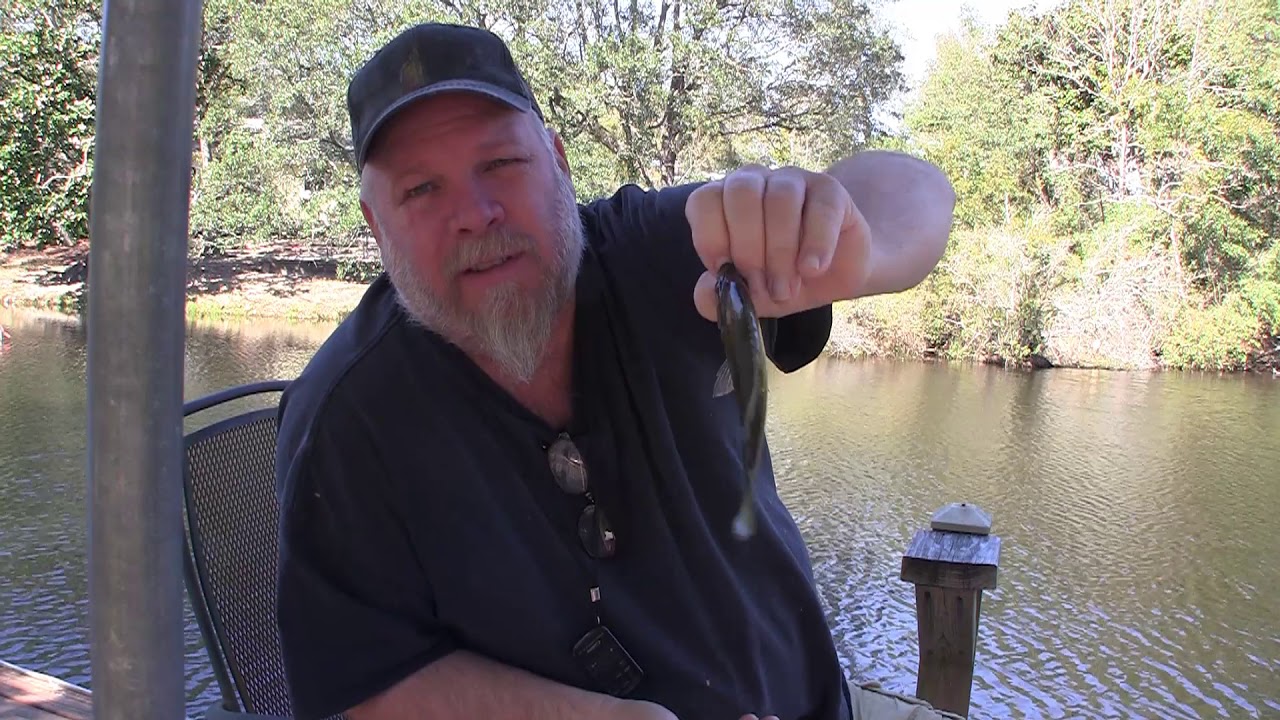Fishing With Chicken Skin