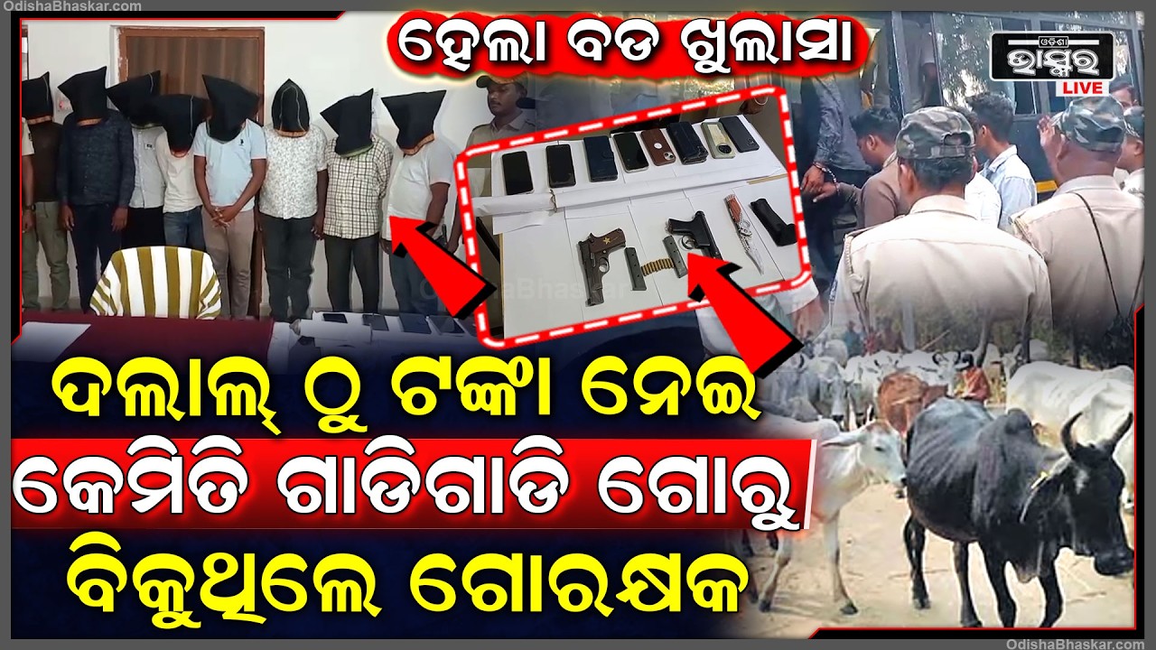 ଗୋ' ରକ୍ଷକ କରୁଥିଲେ ଗୋରୁ ଚାଲାଣ, ଦଲାଲକୁ ଗୋରୁ ବୋଝେଇ ଗାଡି ଦେବା ବେଳେ ମାଡି ବସିଲା ପୋଲିସ