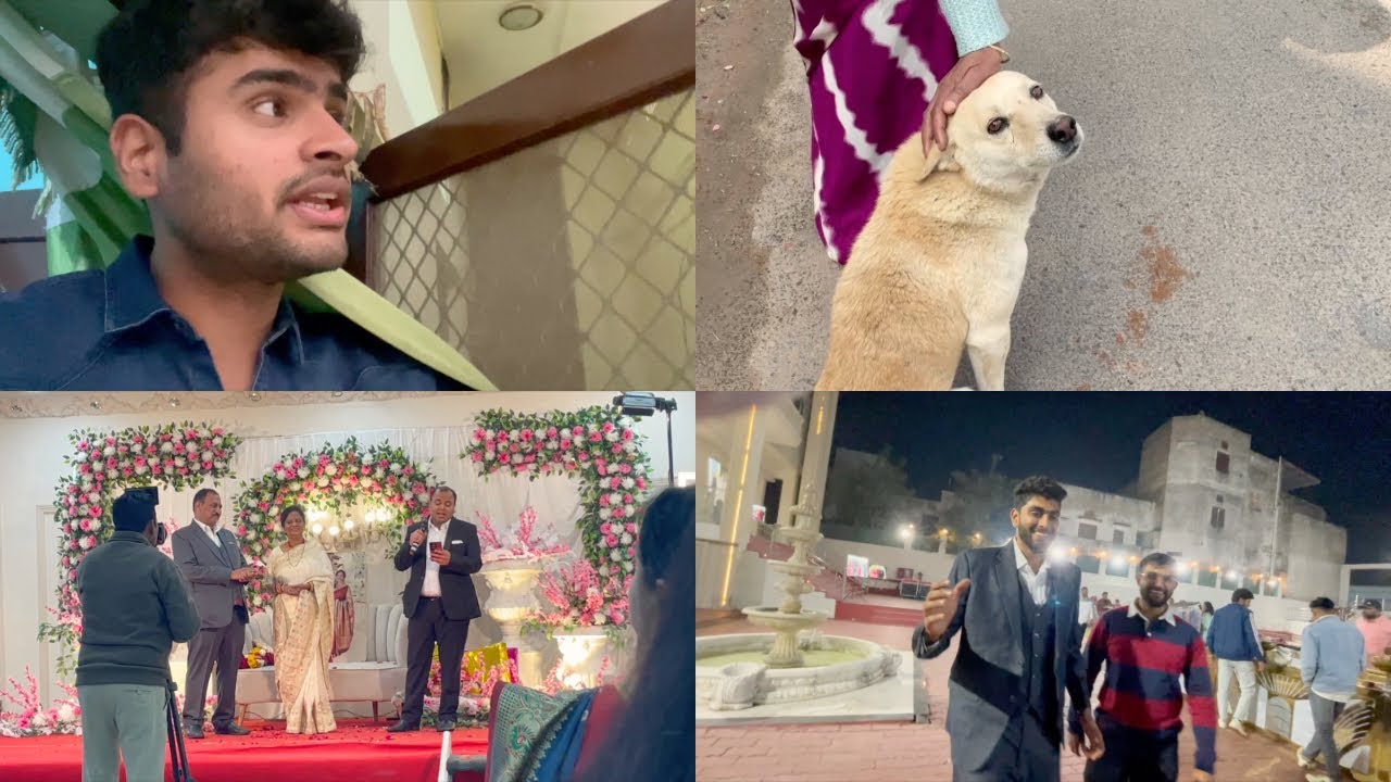 A Retirement Party & A Random Pushkar Visit | A Daily Life Vlog 