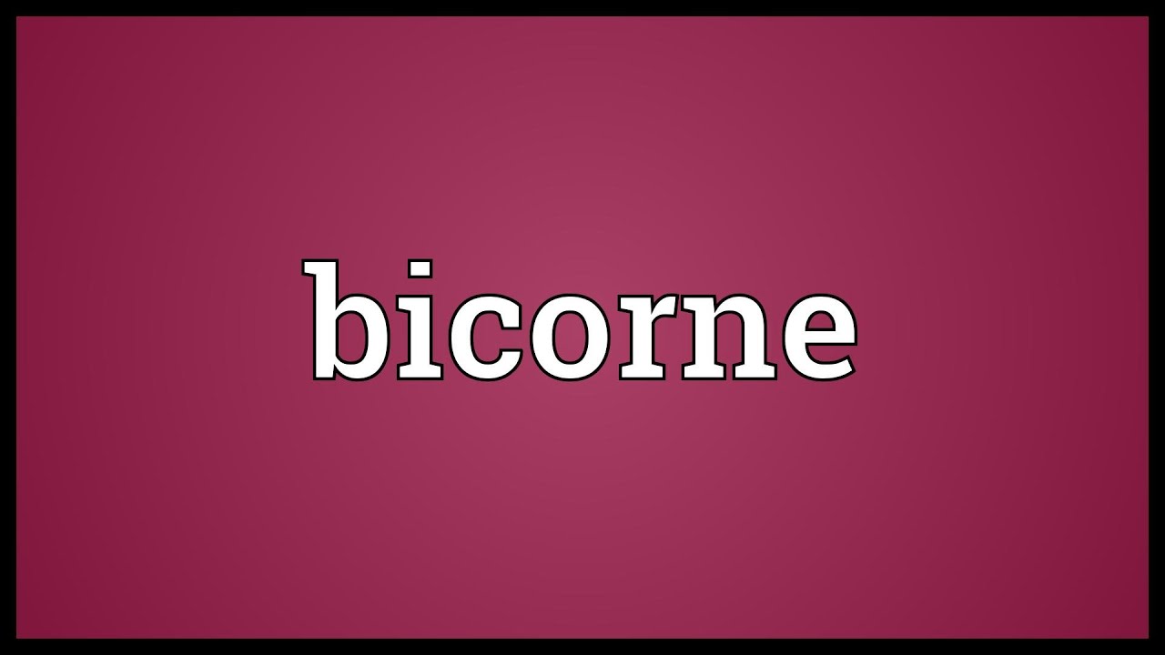 Bicorne Meaning
