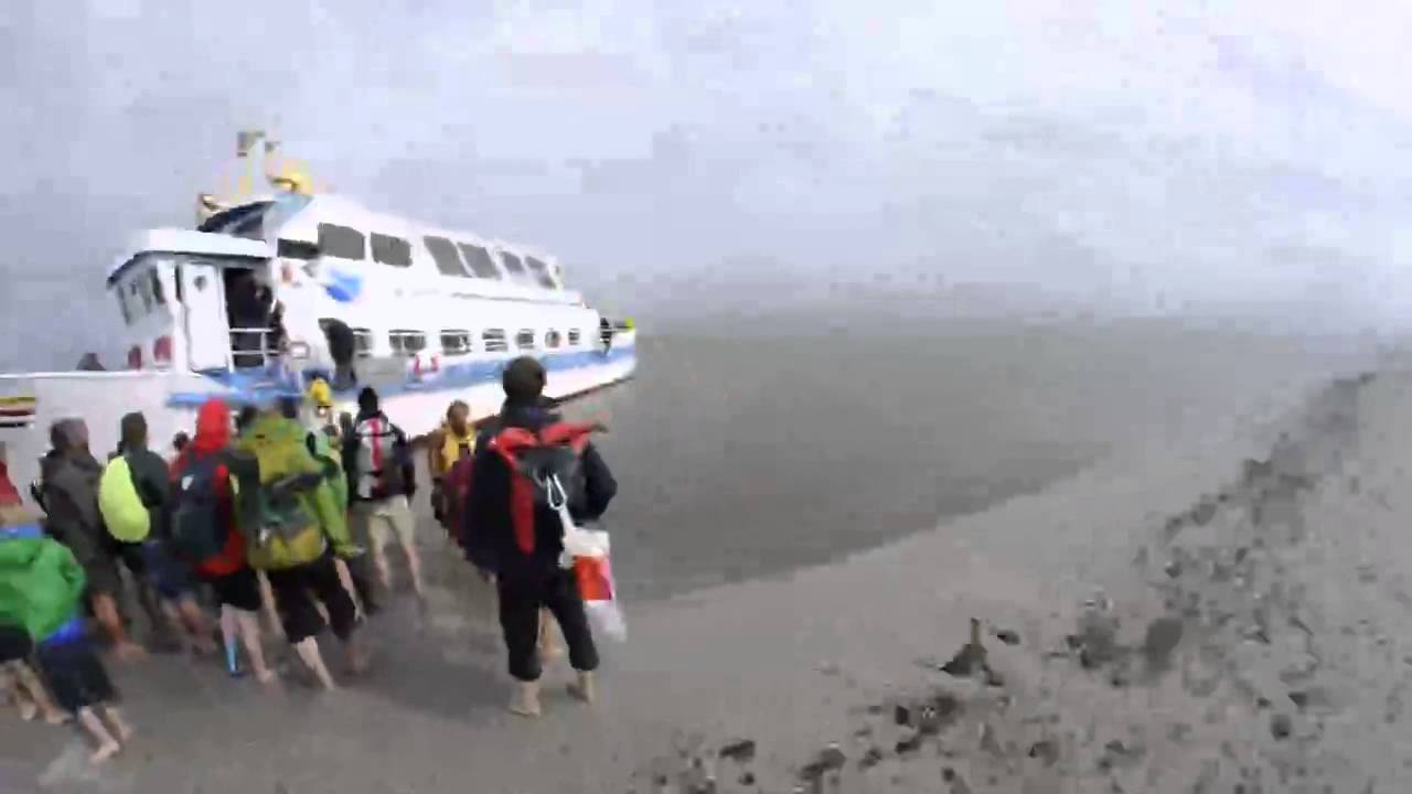 Nordseetaufe Japsand 2014, Seeadler auf der Sandbank